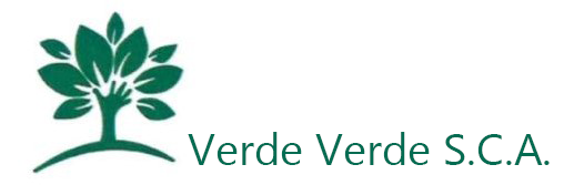 Verde Verde Logo